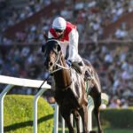 What Is Reverese Withdrawal?